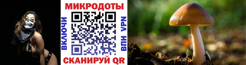 Купить  Яровое  Галлюциногенные грибы GOLDEN TEACHER 